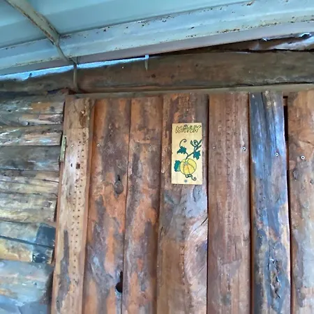 Medusa Kamp alanı